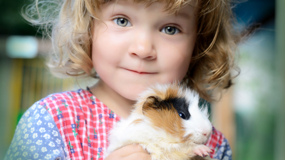 Har du ett husdjur? Grattis, då kan du vara lyckligare!